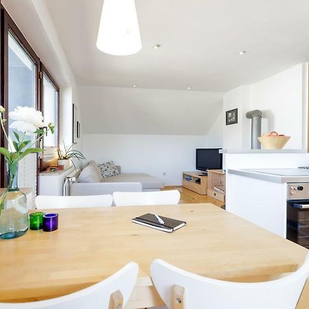Cosy & Spacious Apt. Benc Zirovnica Εξωτερικό φωτογραφία