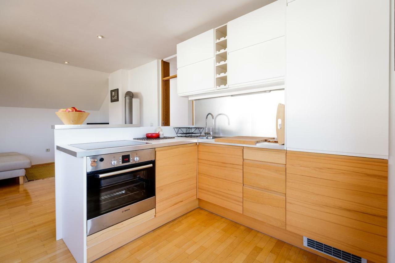 Cosy & Spacious Apt. Benc Zirovnica Εξωτερικό φωτογραφία