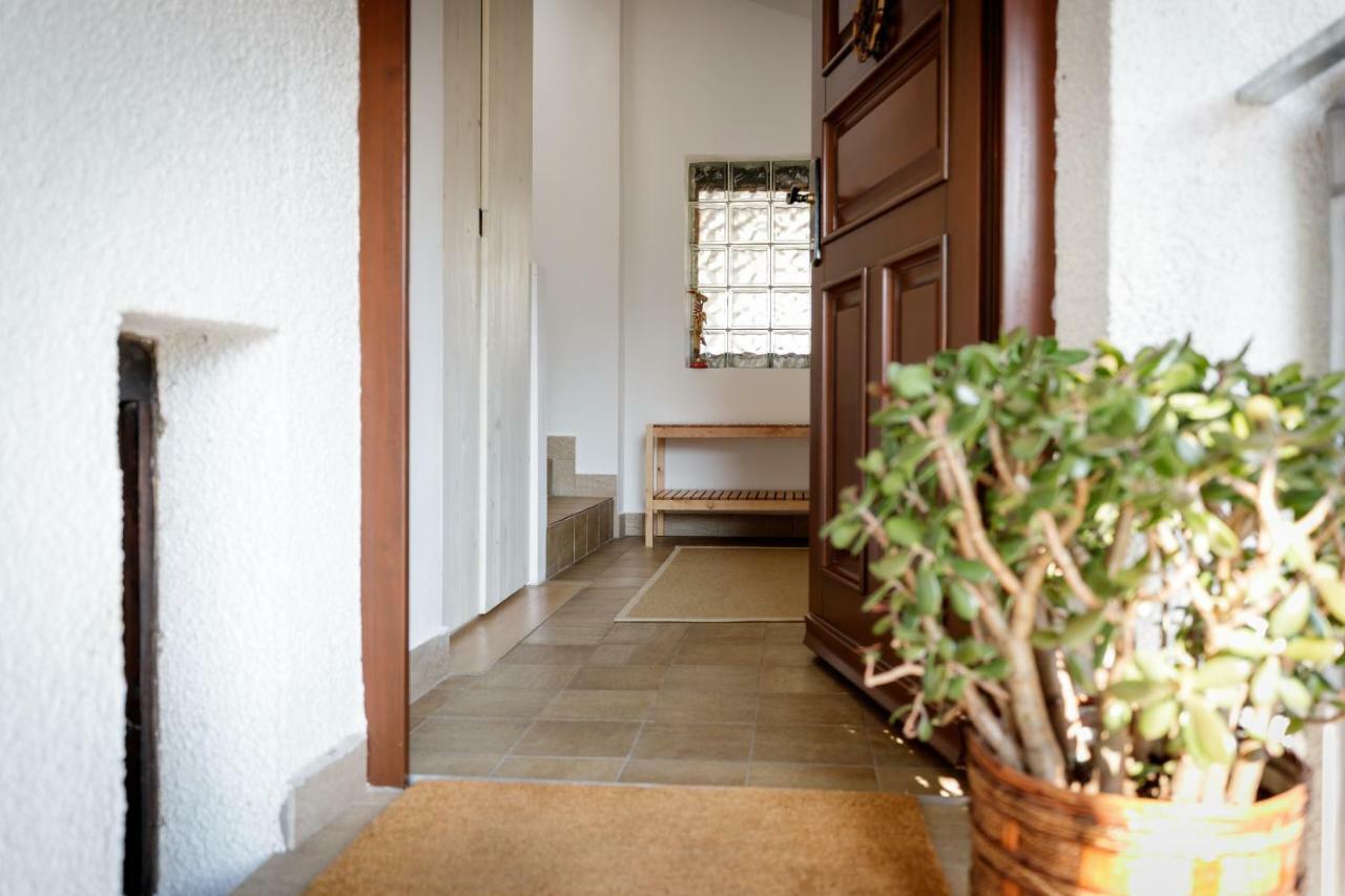 Cosy & Spacious Apt. Benc Zirovnica Εξωτερικό φωτογραφία
