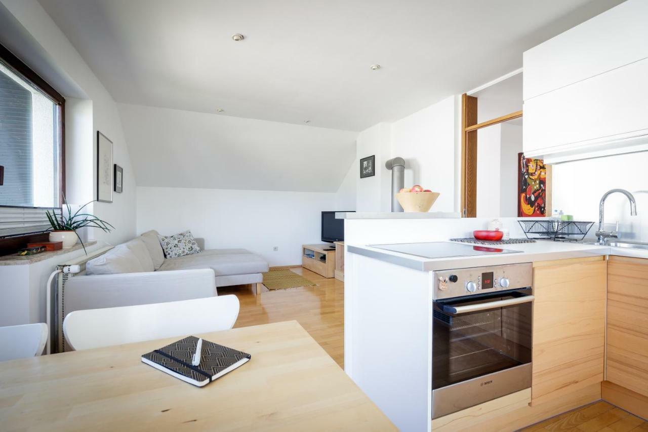 Cosy & Spacious Apt. Benc Zirovnica Εξωτερικό φωτογραφία
